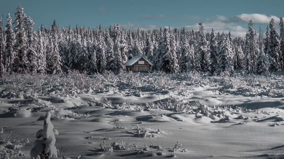 PirraSmith - Tu calor en el invierno - cabaña en medio de bosque nevado